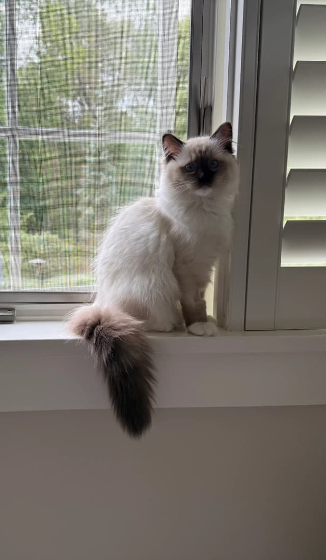 Attachment 1 from Kelly