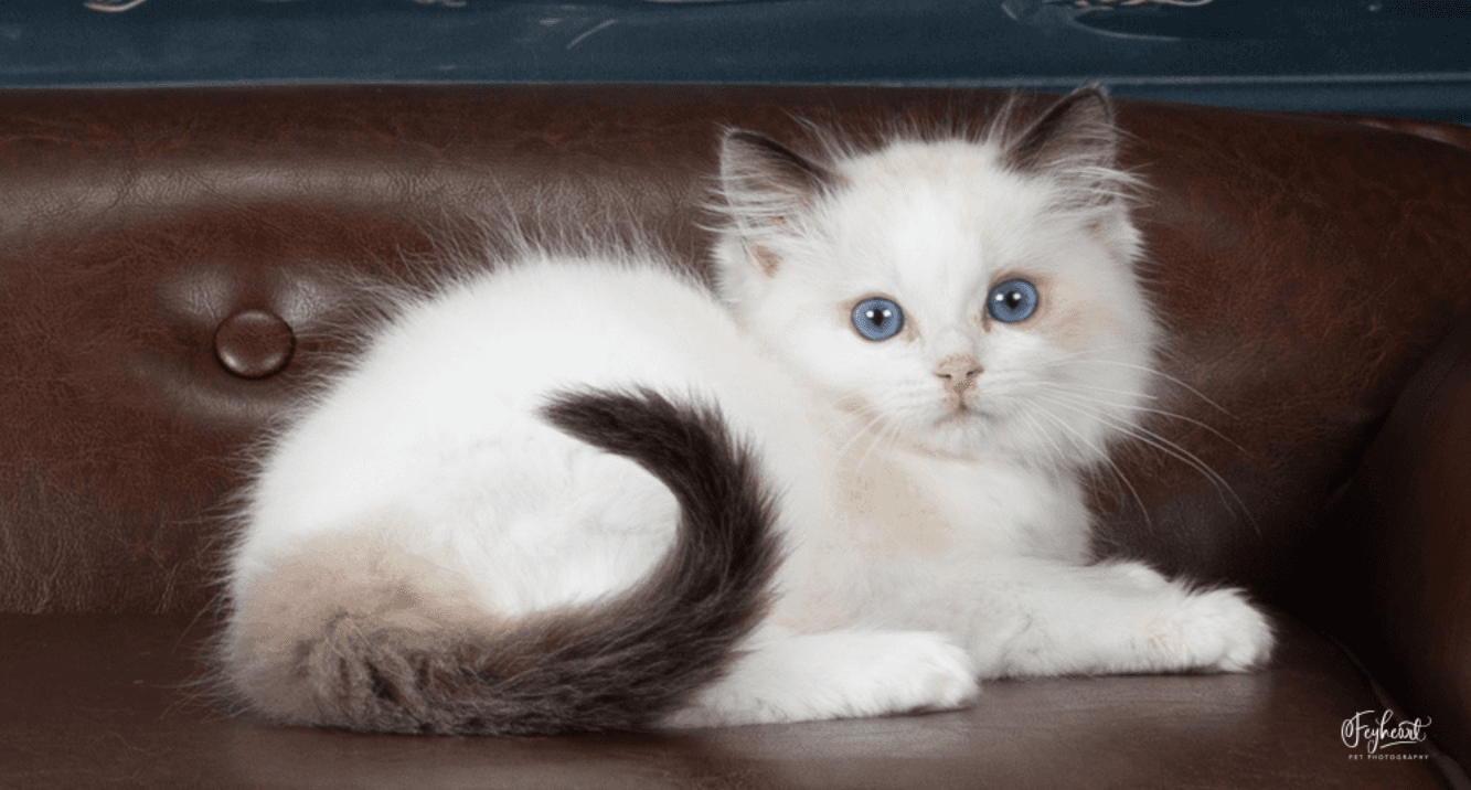 I Paid Nearly $10,000 for Marketing. Here’s What I Got